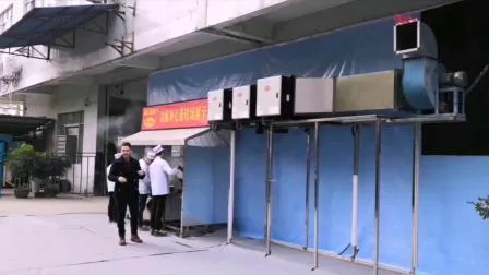 Duct Mounted Cooking Oil Mist Purifier with Electrostatic Filter 